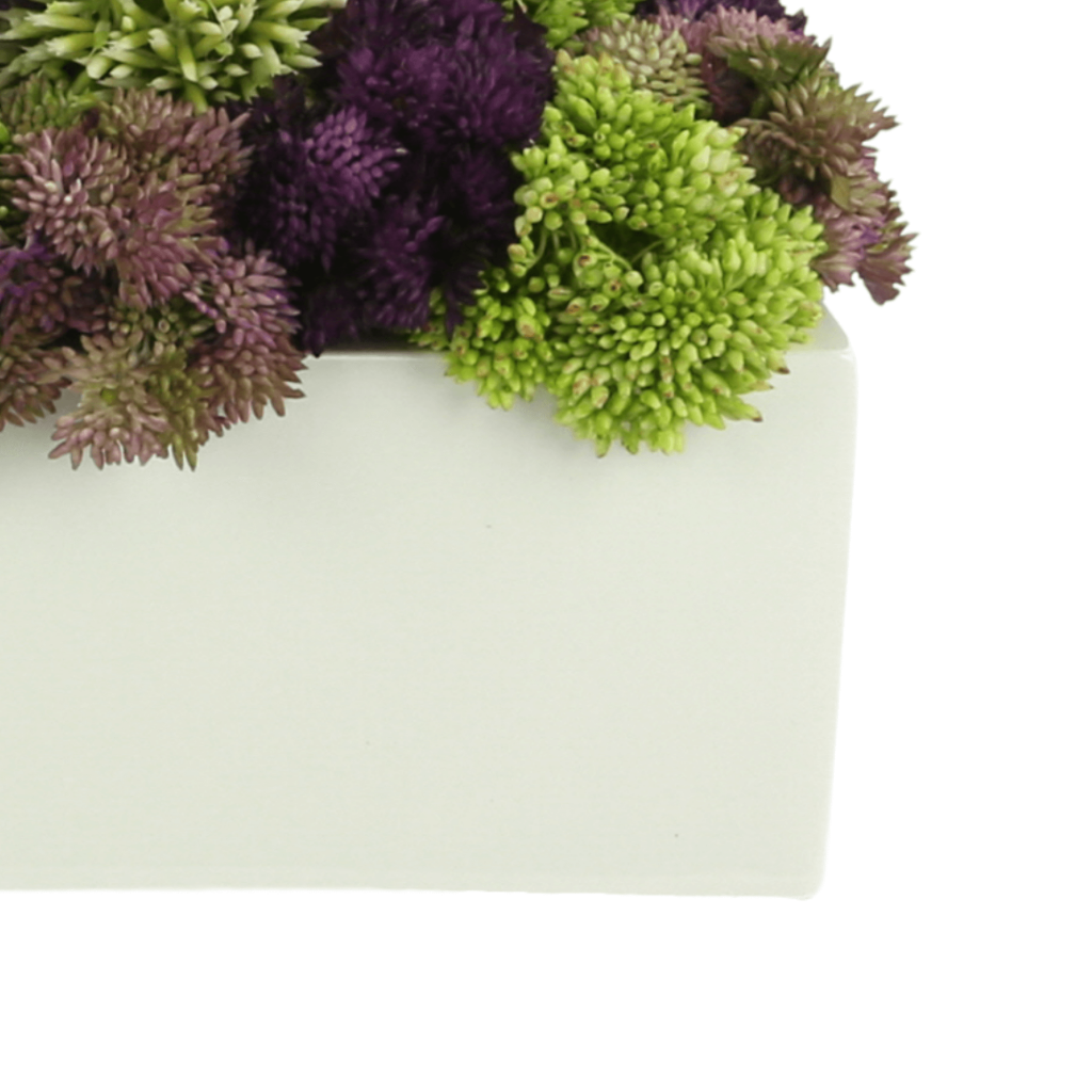 Sedum And Allium Arranged In Rectangular Planter Creative Displays