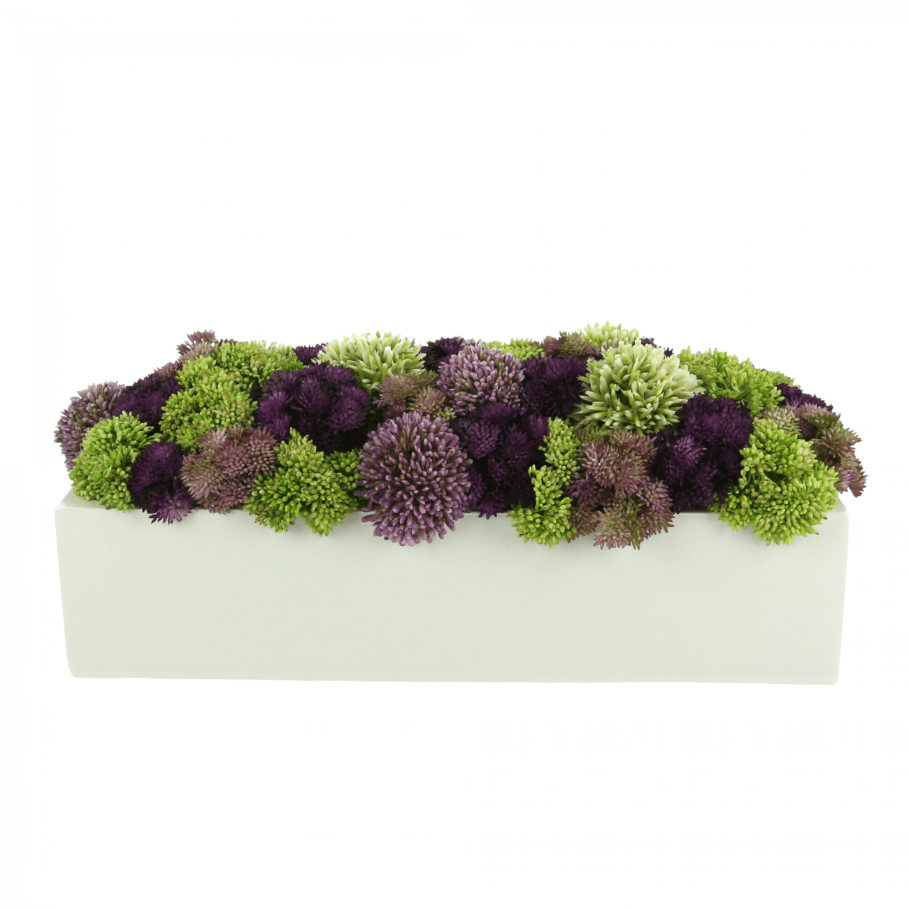 Sedum And Allium Arranged In Rectangular Planter – Creative Displays 