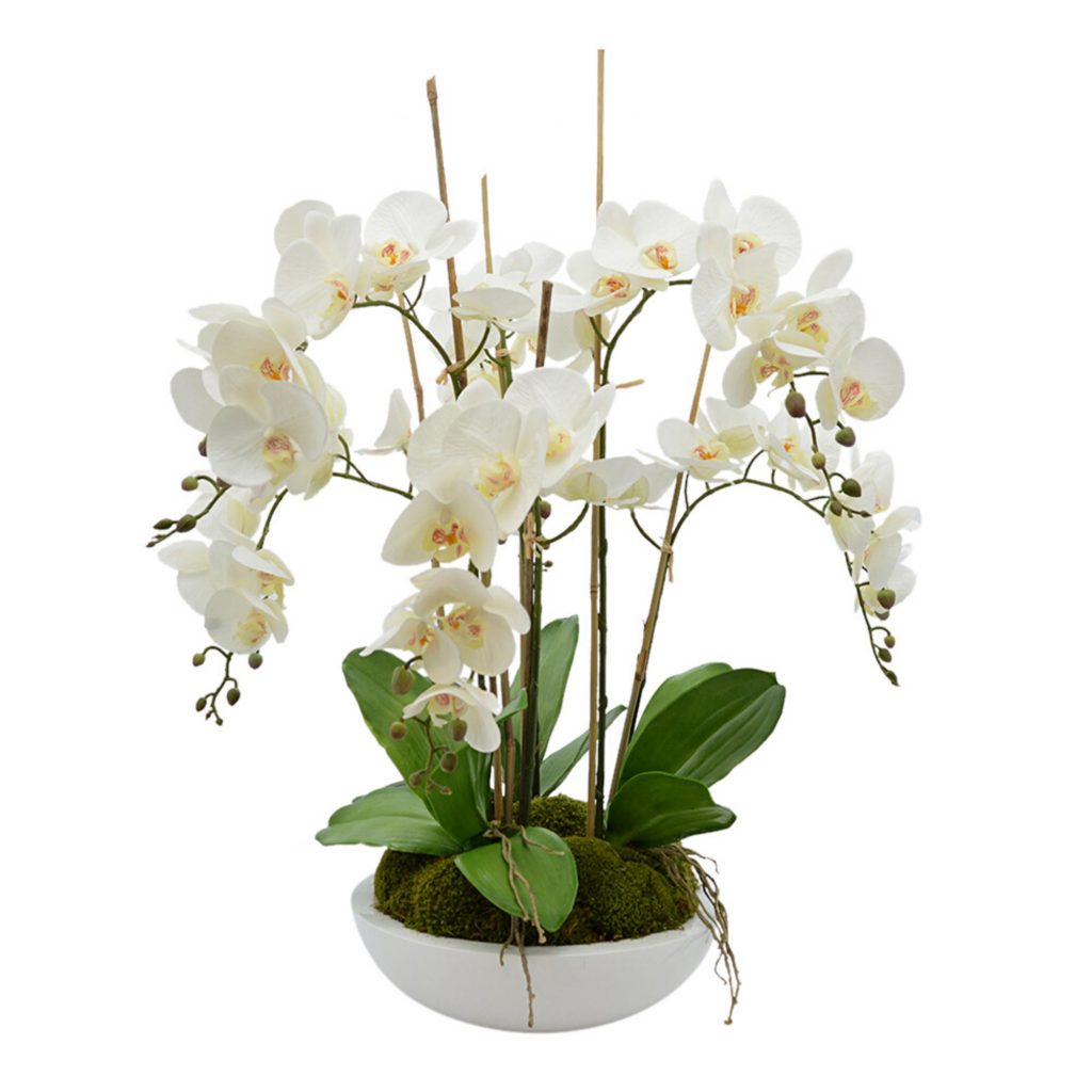 Orchid Arrangement in Round Planter with Moss – Creative Displays and ...