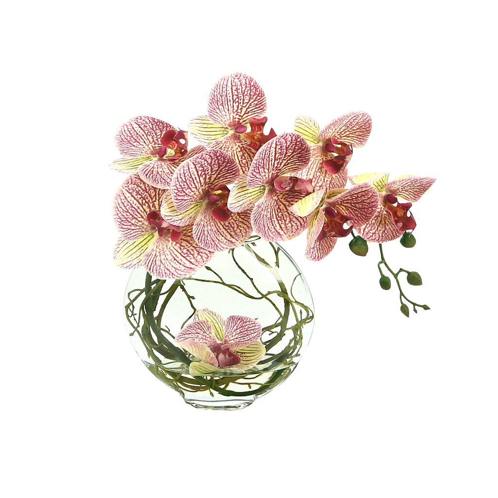 Orchid Arranged in Glass Vase with Vine – Creative Displays and Designs inc