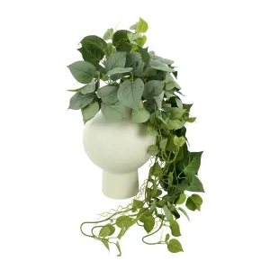 Dusty Ivy Arranged in Round Ceramic Vase